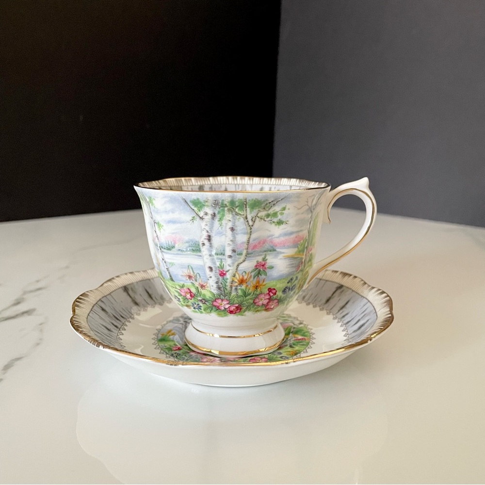 Silver Birch Cup & Saucer by Royal Albert
